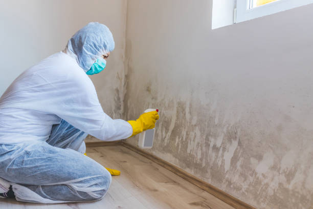 Commercial Mold Remediation assessment for commercial property in Clarksboro